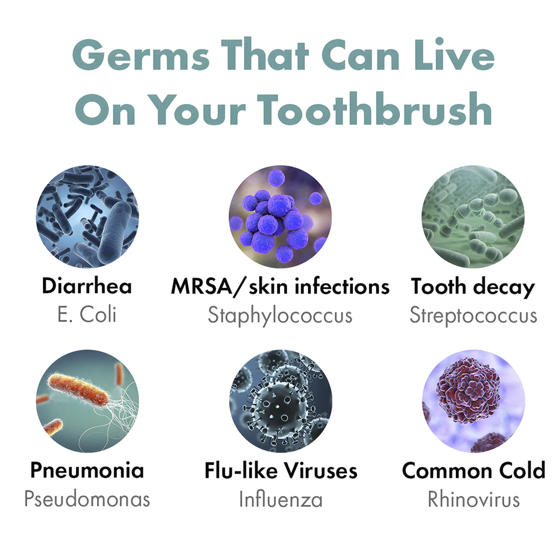 Bril Toothbrush Sterilizer - germs