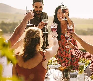 The Wand Wine Purifier Customer Reviews